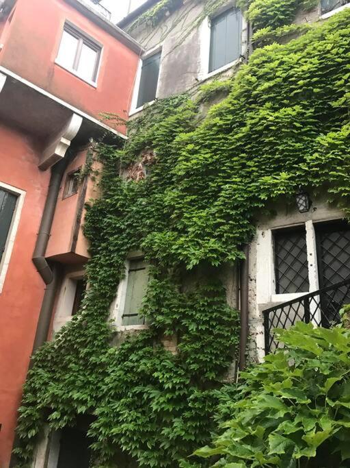 Apartament Centralissimo Tra San Marco E Palazzo Grassi Wenecja
