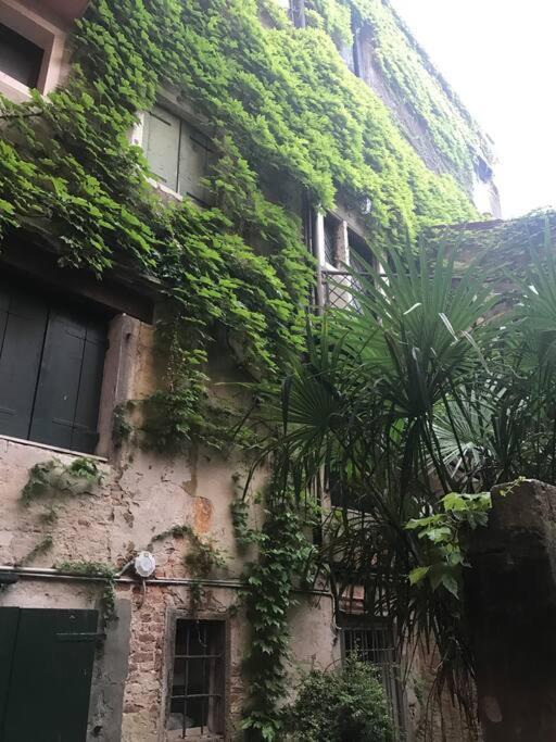 Centralissimo Tra San Marco E Palazzo Grassi Apartament *